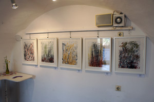 ausstellungsansicht, "grasgeflüster A-E"