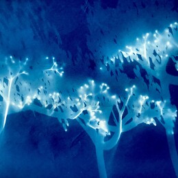 "Frau Holle ist ganz aufgelöst" 2022