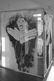 schmetterlingraum, 2011, Rauminstallation