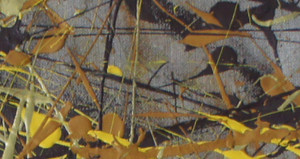 sabine and family, 2009