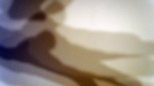 schattenraum VIII, 2011