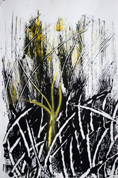 grasgeflüster V, 2013