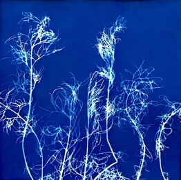 "Kamille tanzt" 2021