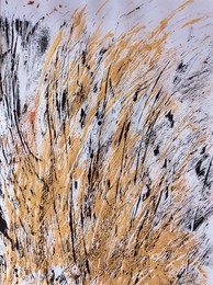 grasgeflüster c, 2015