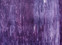 purple rain II, 2009