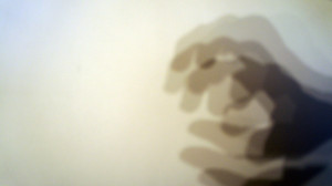 schattenraum IV, 2011