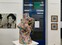 Ausstellungsansicht
